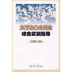 創(chuàng  )新創(chuàng  )業(yè)綜合實(shí)訓自我總結