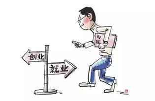中國企業(yè)創(chuàng  )新創(chuàng  )業(yè)成功的案例,企業(yè)創(chuàng  )新創(chuàng  )業(yè)成功的案例,中國企業(yè)創(chuàng  )新創(chuàng  )業(yè)調查