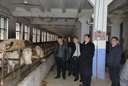 宣漢,科技人員,申報,創(chuàng  )新
