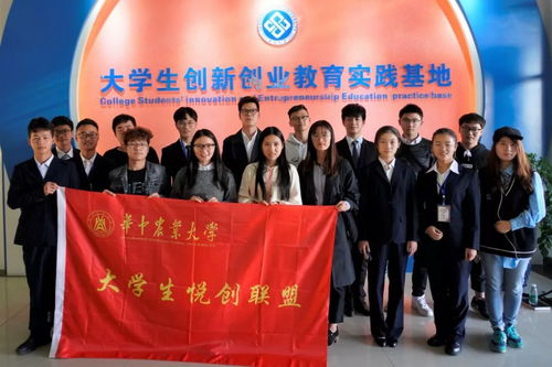 大學(xué)生創(chuàng  )新創(chuàng  )業(yè)團隊成員優(yōu)勢怎么寫(xiě)