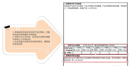 創(chuàng  )新型專(zhuān)利申請,不以保護創(chuàng  )新為目的的專(zhuān)利申請,專(zhuān)利申請創(chuàng  )新性