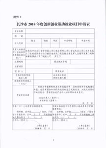 帶動(dòng),申請報告,就業(yè),創(chuàng  )新
