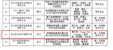 湖北,團隊,戰略,創(chuàng  )新