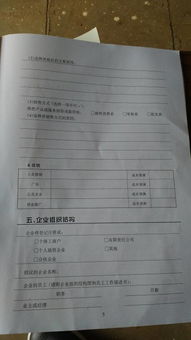 計劃書(shū),租賃,創(chuàng  )新,服飾
