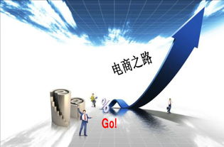 創(chuàng  )新,電子商務(wù),創(chuàng  )業(yè)