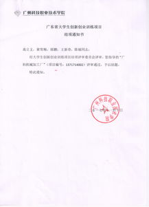 創(chuàng  )新,創(chuàng  )業(yè),項目,結項書(shū)