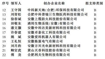創(chuàng  )業(yè)項目管理模式怎么寫(xiě),創(chuàng  )新創(chuàng  )業(yè)項目管理模式,大學(xué)生創(chuàng  )新創(chuàng  )業(yè)項目管理