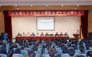 云南創(chuàng  )新創(chuàng  )業(yè)大賽決賽,云南創(chuàng  )新創(chuàng  )業(yè)大賽決賽名單,云南經(jīng)濟管理學(xué)院創(chuàng  )新創(chuàng  )業(yè)學(xué)院
