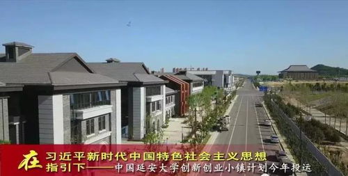 延安大學(xué)創(chuàng  )新創(chuàng  )業(yè)學(xué)院教務(wù)系統