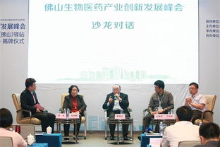 佛山市,團隊,創(chuàng  )新,創(chuàng  )業(yè)