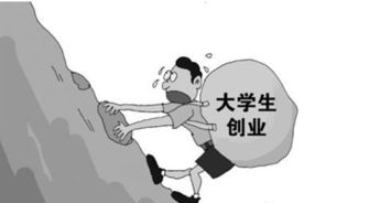 創(chuàng  )業(yè)項目,原因,創(chuàng  )新,選擇