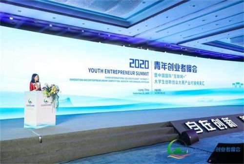 2020大學(xué)生創(chuàng  )新創(chuàng  )業(yè)計劃書(shū)