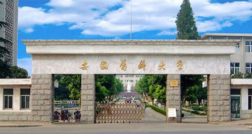 創(chuàng  )新創(chuàng  )業(yè)學(xué)院安徽醫科大學(xué)