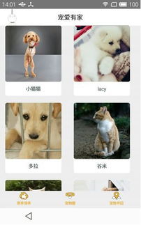 創(chuàng  )新創(chuàng  )業(yè)流浪動(dòng)物