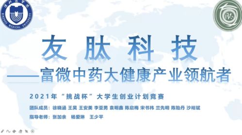 大學(xué)生創(chuàng  )業(yè),意義,大賽,挑戰杯