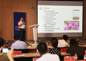 工程設計,鄭州大學(xué),實(shí)踐,創(chuàng  )新