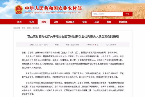 農村創(chuàng  )業(yè)創(chuàng  )新優(yōu)秀帶頭人事跡