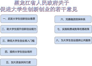 促進(jìn)大學(xué)生創(chuàng)新創(chuàng)業(yè)的意見