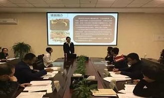 創(chuàng  )業(yè)項目,負責人,創(chuàng  )新