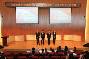 大學(xué)生挑戰杯創(chuàng  )新創(chuàng  )業(yè)大賽英文