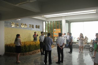農村創(chuàng  )業(yè)創(chuàng  )新典型,全國農村創(chuàng  )業(yè)創(chuàng  )新優(yōu)秀帶頭人,第三批全國農村創(chuàng  )業(yè)創(chuàng  )新典型縣