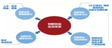 創(chuàng  )新創(chuàng  )業(yè)載體包括