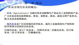 導論,模板,創(chuàng  )新,創(chuàng  )業(yè)