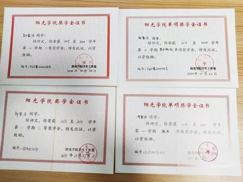 創(chuàng)新創(chuàng)業(yè)類單項獎學金申請表