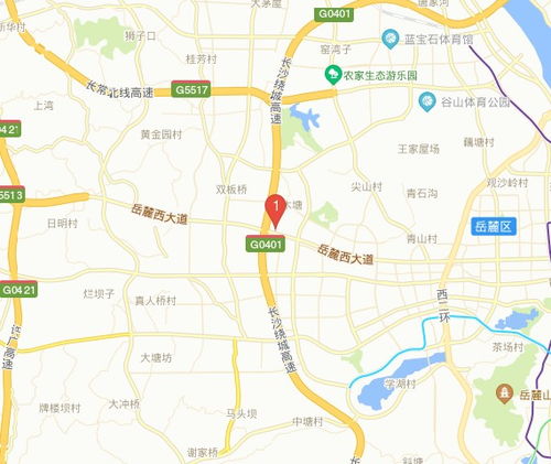 麓谷科技創(chuàng  )新創(chuàng  )業(yè)園是什么街道