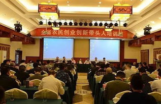 創(chuàng  )新創(chuàng  )業(yè)帶頭人培訓內容