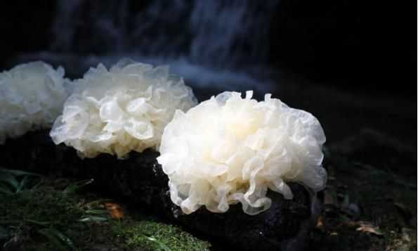銀耳蓮子羹一周吃幾次，養生壺燉銀耳蓮子羹需要多長(cháng)時(shí)間？圖3