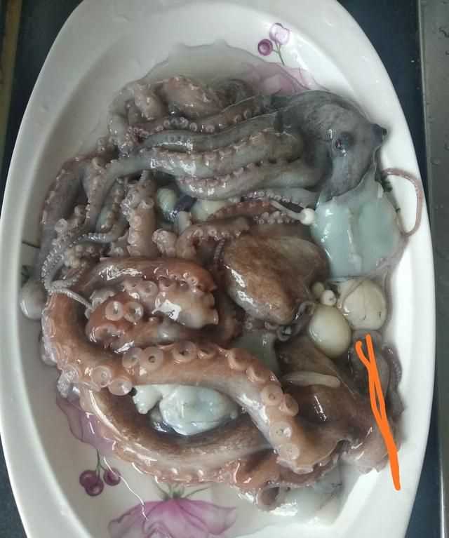 八爪魚(yú)的哪些部位不能吃
，八爪魚(yú)怎么吃好吃？哪里不能吃？圖3