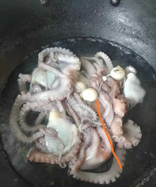 八爪魚(yú)的哪些部位不能吃
，八爪魚(yú)怎么吃好吃？哪里不能吃？圖5