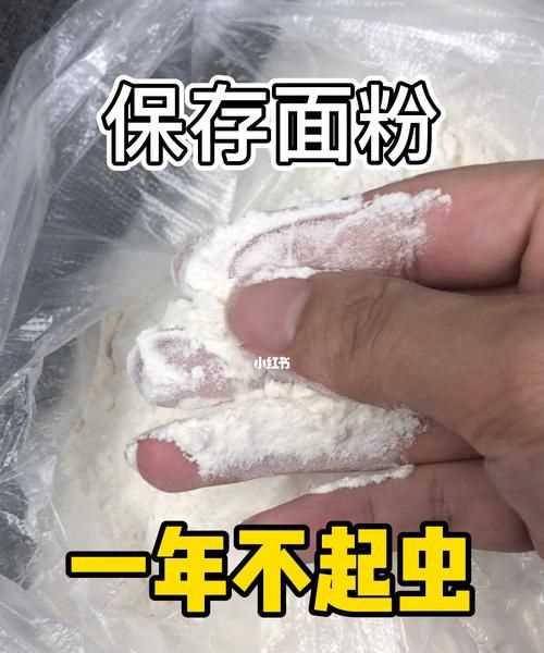 買(mǎi)的面里面有小蟲(chóng)子怎么辦