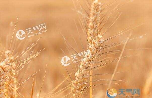 二十四節氣分別是什么各對應幾月幾號以及它的來(lái)歷