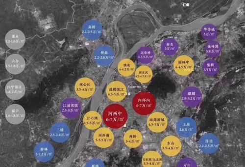 城八區包括哪些地方