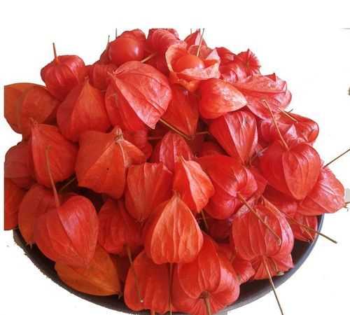 紅姑娘皮能長(cháng)期泡水喝嗎