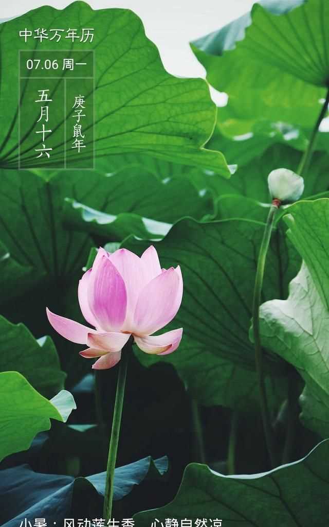 隋朝多少年，三國兩晉南北朝持續了多少年？圖3