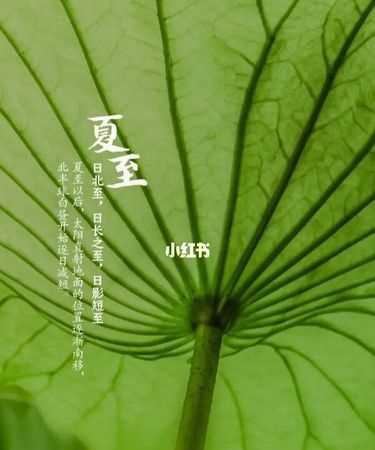 夏至是初夏的開(kāi)始還是結束
