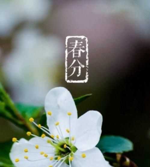 春分還冷嗎