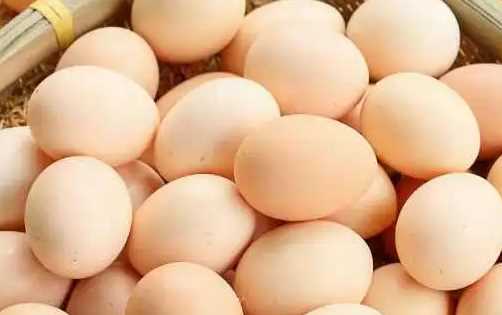 為什么美國的雞蛋是白色的,飼料的顏色有所不同嗎圖9