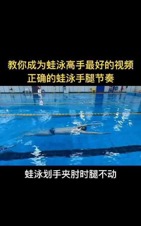 蛙泳的口訣有哪些英文