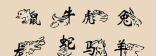 九九歸一出奇數打一個(gè)生肖
