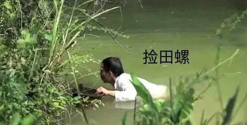 螺絲肉的功效與作用，螺絲肉怎么炒好吃？圖4