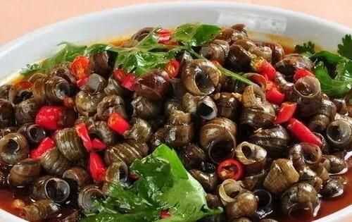 螺絲肉的功效與作用，螺絲肉怎么炒好吃？圖6