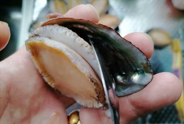 鮑魚(yú)蒸地時(shí)候要去內臟嗎
