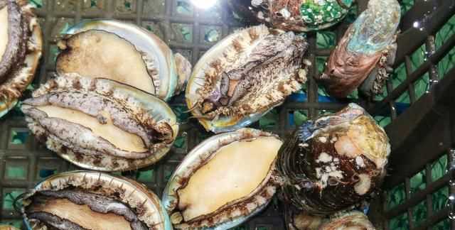 鮑魚(yú)要去內臟嗎，鮑魚(yú)蒸地時(shí)候要去內臟嗎？圖3