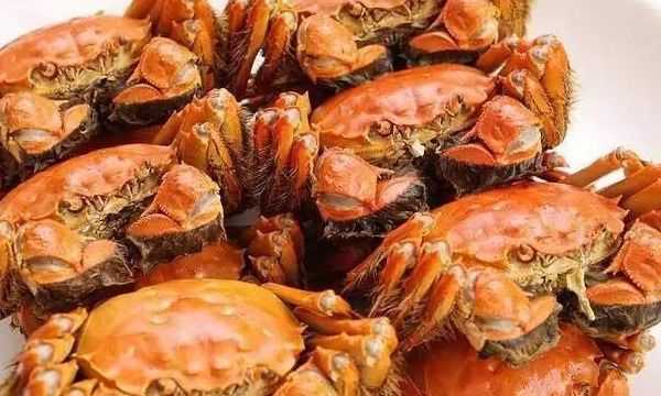 公母蟹有什么不一樣,公蟹和母蟹有什么區別圖4