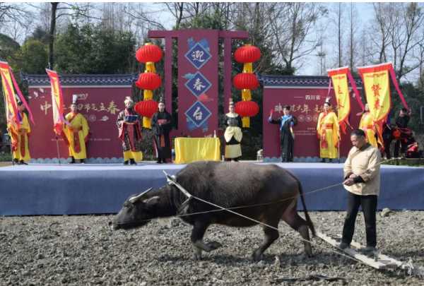 關(guān)于立春的風(fēng)俗,立春時(shí)有什么風(fēng)俗活動(dòng)圖5
