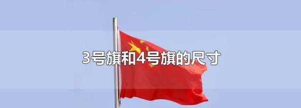 4號國旗尺寸是多少厘米長(cháng),國旗的尺寸有多少種圖2
